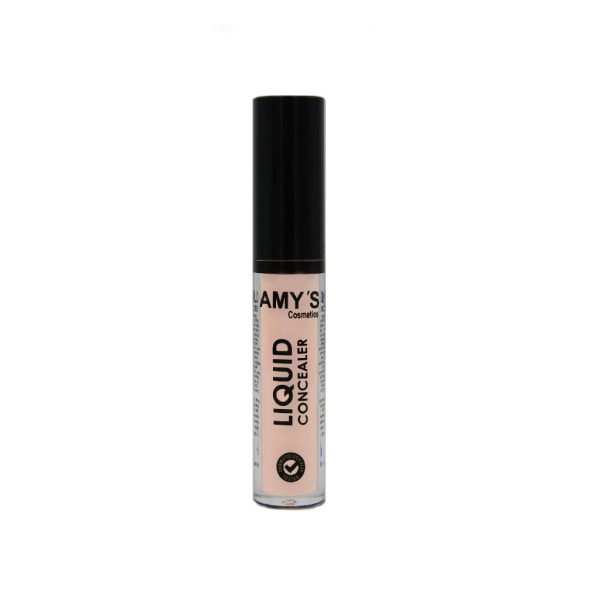 AMY'S Liquid Concealer No 02