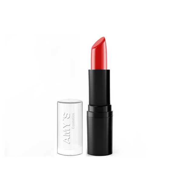 AMY'S Satin Lipstick No 204