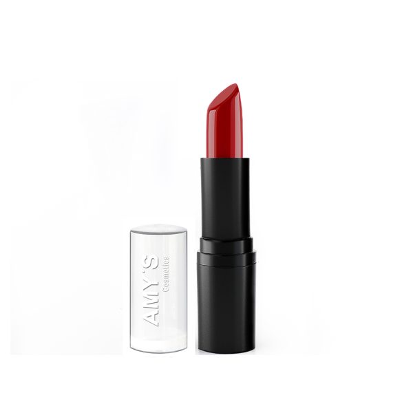 AMY'S Satin Lipstick No 205