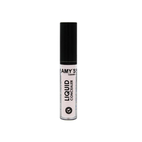 AMY'S Liquid Concealer No 00