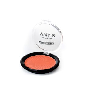 AMY'S Compact Rouge No 10